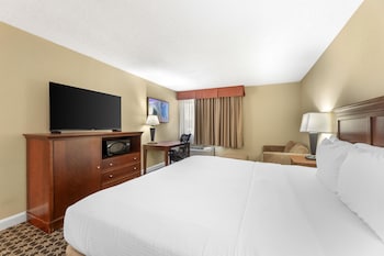 Standard Room, 1 King Bed, Non Smoking, Refrigerator & Microwave (with Sofabed)