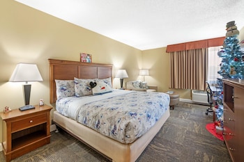 Standard Room, 1 King Bed, Non Smoking, Refrigerator & Microwave