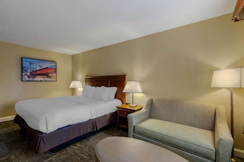 Standard Room, 1 King Bed, Non Smoking, Refrigerator & Microwave (with Sofabed)