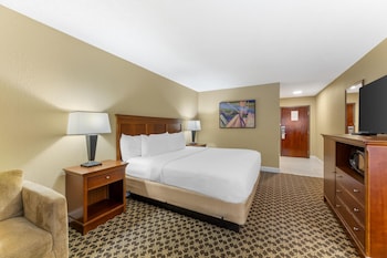 Standard Room, 1 King Bed, Non Smoking, Refrigerator & Microwave (with Sofabed)
