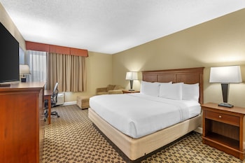 Standard Room, 1 King Bed, Non Smoking, Refrigerator & Microwave (with Sofabed)