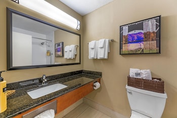 Standard Room, 1 King Bed, Non Smoking, Refrigerator & Microwave (with Sofabed)