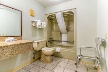 Room, 1 Double Bed, Accessible, Non Smoking