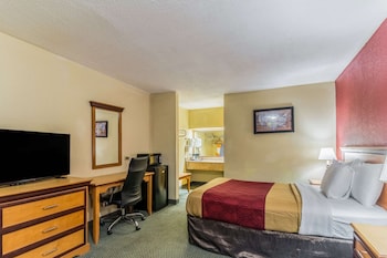 Room, 1 Double Bed, Accessible, Non Smoking