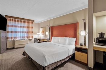 Room, 1 King Bed, Non Smoking (North Building)