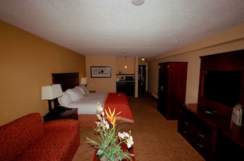 Deluxe Room, 1 King Bed, Accessible, Bathtub