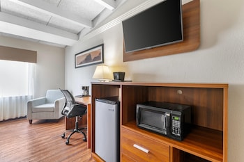 Suite, 1 King Bed with Sofa bed