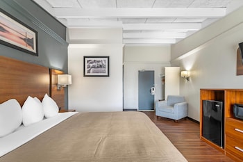 Standard Room, 1 King Bed, Non Smoking
