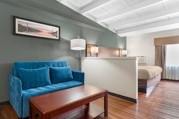Suite, 1 King Bed with Sofa bed