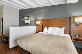 Suite, 1 King Bed with Sofa bed