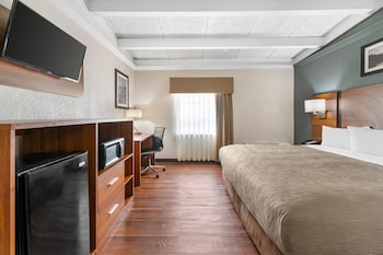 Standard Room, 1 King Bed, Non Smoking