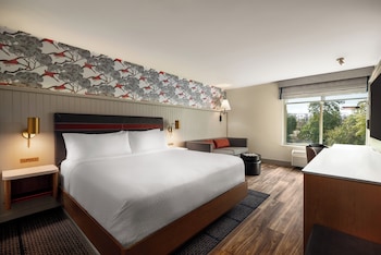 Standard Room, 1 King Bed with Sofa bed