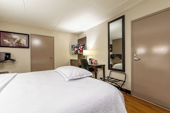 Premium Room, 1 King Bed, Accessible (Upgraded Bedding/Snack/Roll-In Shower)