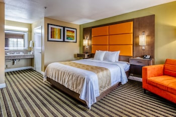 Standard Room, 1 King Bed, Non Smoking