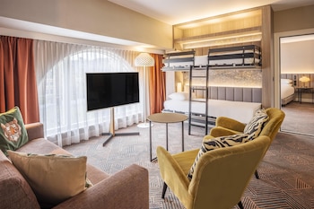 Family Room, 1 King Bed