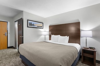 Standard Room, 1 King Bed, Non Smoking