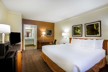 Room, 1 King Bed, Accessible, Non Smoking (Roll-In Shower)