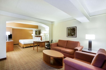 Executive Room, 1 King Bed, Non Smoking