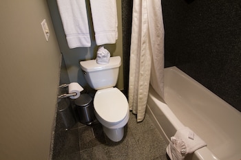 Deluxe Suite, 1 King Bed