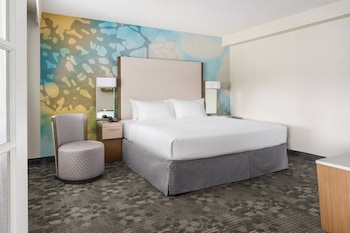 Suite, 1 King Bed with Sofa bed