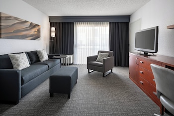 Suite, 1 King Bed with Sofa bed