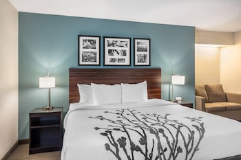 Room | 1 King Bed + Sofa Bed | Sleeps 3 | Free Breakfast