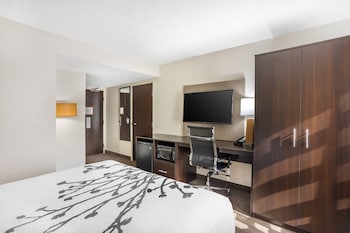 Accessible Room | 1 Queen Bed | Lowered Tub | Sleeps 2 | Free Breakfast