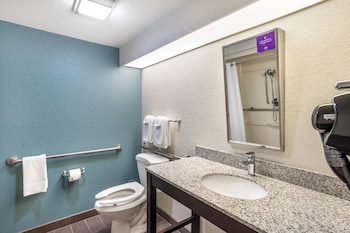 Accessible Room | 1 Queen Bed | Roll-In Shower | Sleeps 2 | Free Breakfast
