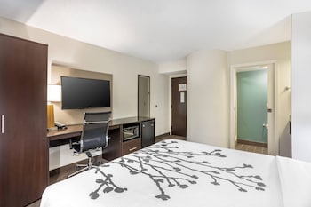 Room | 1 Queen Bed | Sleeps 2 | Free Breakfast