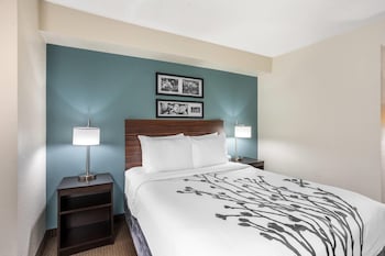 Accessible Room | 1 Queen Bed | Roll-In Shower | Sleeps 2 | Free Breakfast