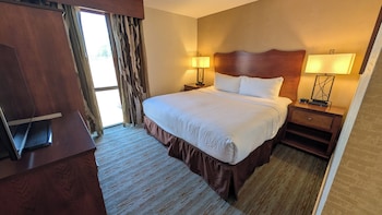 Deluxe Suite, 1 King Bed with Sofa bed, Non Smoking