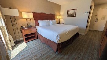 Room, 1 King Bed, Non Smoking