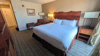 Room, 1 King Bed, Accessible, Non Smoking (Mobility)