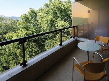 Premium Twin Room with Wellness and Fitness Access