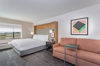 Standard Room, 1 King Bed with Sofa bed