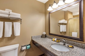 Standard Room, 1 King Bed, Non Smoking, Jetted Tub