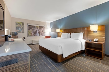 Room, 1 King Bed, Non Smoking