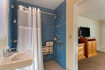 Standard Room, 1 Queen Bed, Accessible, Refrigerator & Microwave