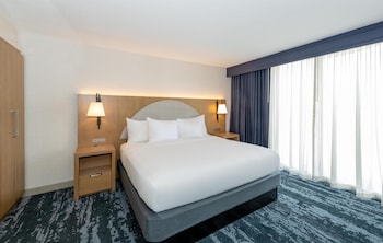 Room, 1 King Bed, Non Smoking (Basic)