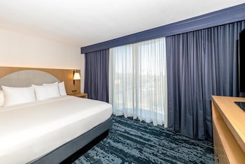 Room, 1 King Bed, Non Smoking (Basic)
