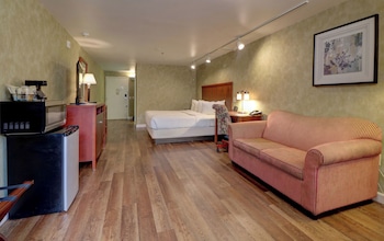 Premium King | Pet-Friendly
