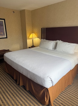 Suite, 1 King Bed, City View