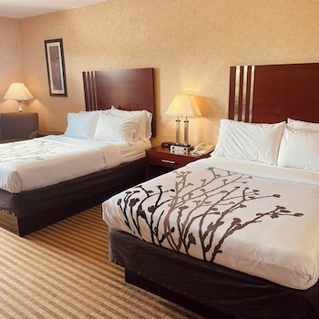 Standard Room, 2 Double Beds