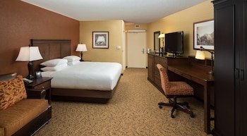 Room, 1 King Bed, Accessible, Bathtub (Mobility & Hearing)
