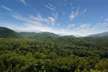 Room, 1 King Bed, Non Smoking, Mountain View