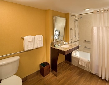 Room, 1 King Bed, Accessible, Bathtub (Mobility & Hearing)