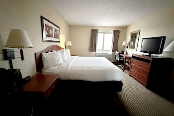 Room, 1 King Bed, Non Smoking