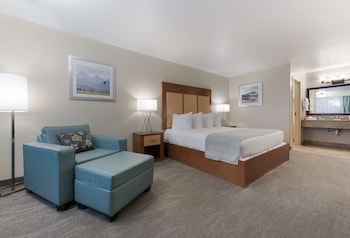 Standard Room, 1 King Bed, Refrigerator & Microwave, Poolside