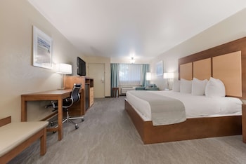 Standard Room, 1 King Bed, Refrigerator & Microwave, Poolside