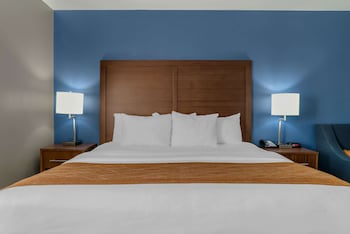 Suite, 1 King Bed, Jetted Tub